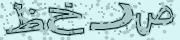BotDetect CAPTCHA  image style screenshot