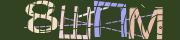 BotDetect CAPTCHA  image style screenshot