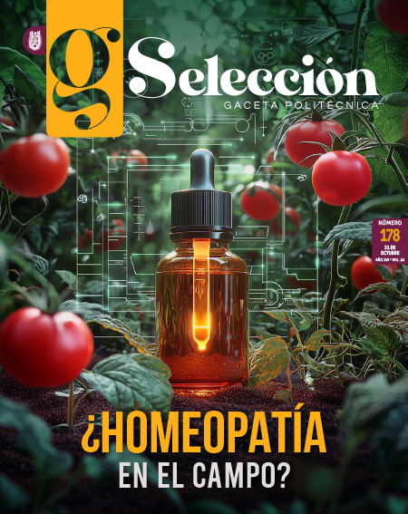 Gaceta No. 178