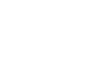 Junta Interpolitécnica