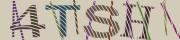 BotDetect CAPTCHA  image style screenshot