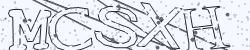 BotDetect CAPTCHA Snow image style screenshot