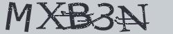 BotDetect CAPTCHA Chipped PHP Captcha Library image style screenshot