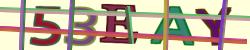 BotDetect CAPTCHA Flash PHP Captcha Library image style screenshot