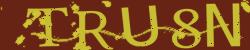 BotDetect CAPTCHA PaintMess PHP Captcha Library image style screenshot